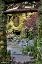 国际花展之五-2014英国切尔西花展Chelsea Flower Show 2014_花吧_百度贴吧