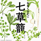 FjgzJWmEmxtkuwv9Eijz-SHI76Lo (1440×1440)