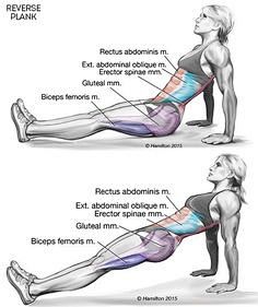 One Exercise Proven ...