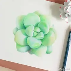 彩铅----植物，花卉 - 高清图片，堆糖，美图壁纸兴趣社区