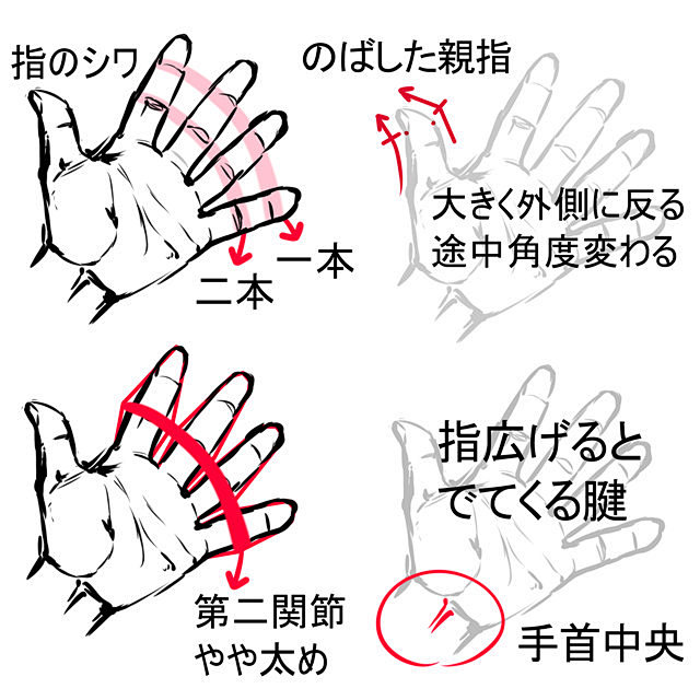 #绘画教程# 关于手的绘制参考
来自みじ...