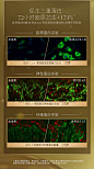 【新品上市】雅诗兰黛白金黑松露精华淡纹紧致饱满美白抗老抗皱