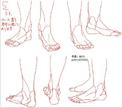 奋发向上の主攻采集到基础