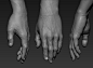 Hand, Andrey Gritsuk : Hi friends! I present to you the hand Model made in Zbrush . The model has 6 subtool.
Download here : 
https://gum.co/hdtOV
https://www.cgtrader.com/3d-models/character/man/hand-cg
https://www.turbosquid.com/3d-models/3d-hand-zbrush