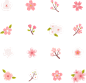 花瓣 素材 PNG素材 玫瑰花瓣 樱花 桃花 