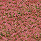 Textures.com : Textures for 3D, Graphic Design and Photoshop 15 Free downloads every day!