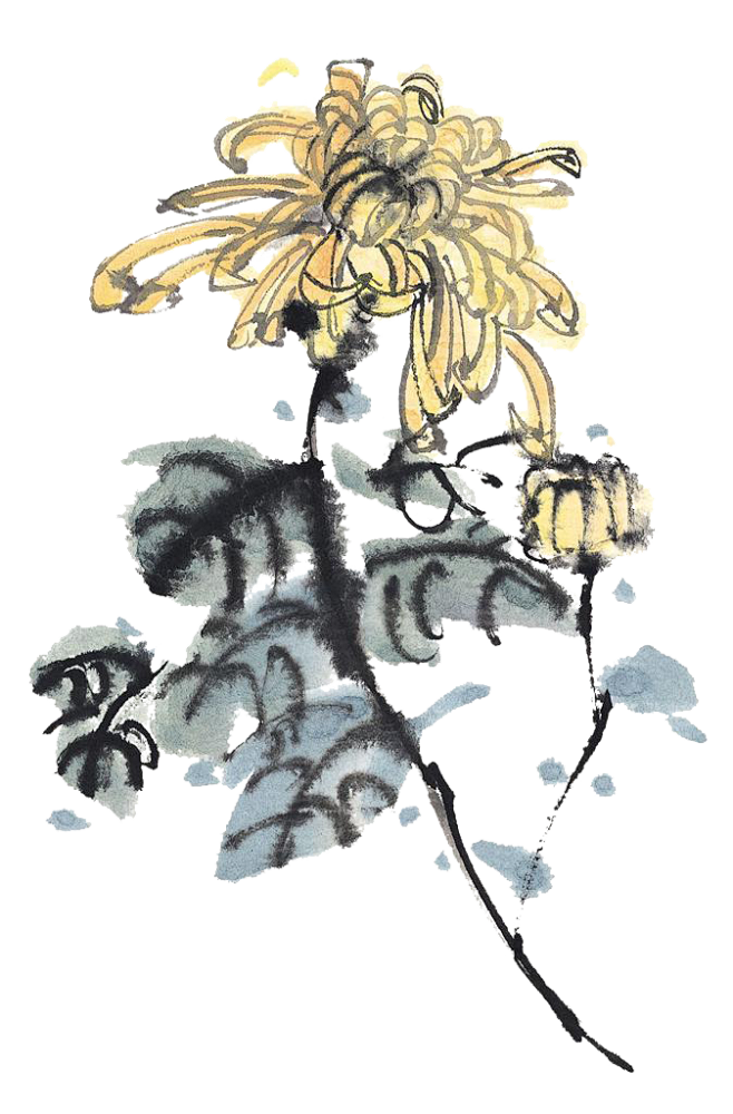 水墨古风国画菊花