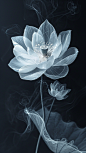 极简抽象荧光白莲(816×1456)