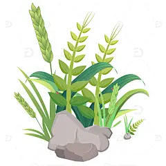 小满麦子小满场景麦穗石头手绘高清模板免费下载-趣麦麦图