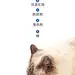 详情页排版