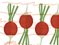 Radish Pattern Illustration 