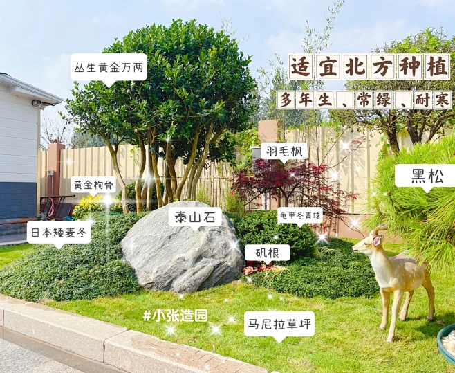被朋友圈问爆的花境搭配