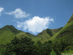 Cubo采集到重返十万大山母猪河（