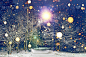 发光的雪花飘落在冬夜公园。圣诞和新年的主题。冬天的夜景公园在雪中