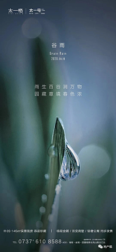 蓝二的兔子丶采集到节气_春