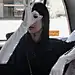 采集图片