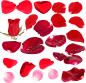 玫瑰花瓣PNG