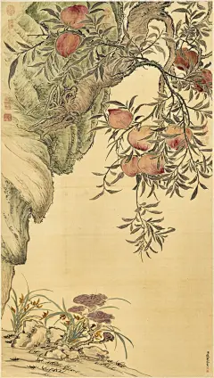 中国画-水果·桃（一）_12_我给艺术家看大门_来自小红书网页版