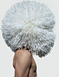 First Look_ TUSH _ MODELS_com Feed