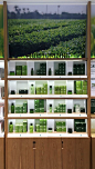 (28) Pinterest