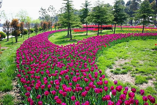 迷人的花带图片_花境景观图片素材-花瓣网