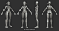 Stylized Base Meshes