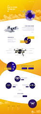 Drone landing page