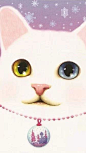 Jetoy Choo Choo , or you 叫它 Choo Choo cat 来自韩国品牌Jetoy。它們有着明亮的大眼睛 、很萌、 非常可爱的猫咪!