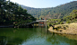 南湖一侧的偃月桥日本四国香川县高松市郊——栗林公园_上海小雪飘飘_新浪博客