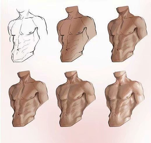 #绘画教程# 男性肌肉 ​​​​