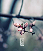 立春