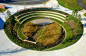 Bioswale amphitheater: 雨水花园