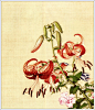 清代宫廷画师郎世宁工笔花鸟画 