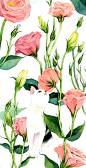 猫与桔梗-雨七七_水彩，花卉，桔梗,水彩，猫，花卉_涂鸦王国插画
