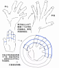 【绘画教程】江川仮名子分享的一些关于绘制手的技巧（人体教程）