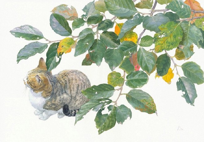 画中猫与植物的美丽邂逅 日本水彩画家 松...