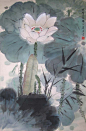 untitled、工笔 水墨 国画 荷花、荷花