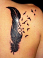 Tattoos of feathers are one cool tattoo design, this is my favourite.