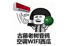 空调wifi西瓜表情包_360图片