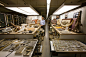 inside the archives: storage at the smithsonian natural history museum - 灵感图库 - Arting365｜关注设计影响力与移动互联网 - 设计｜商业｜科技｜生活