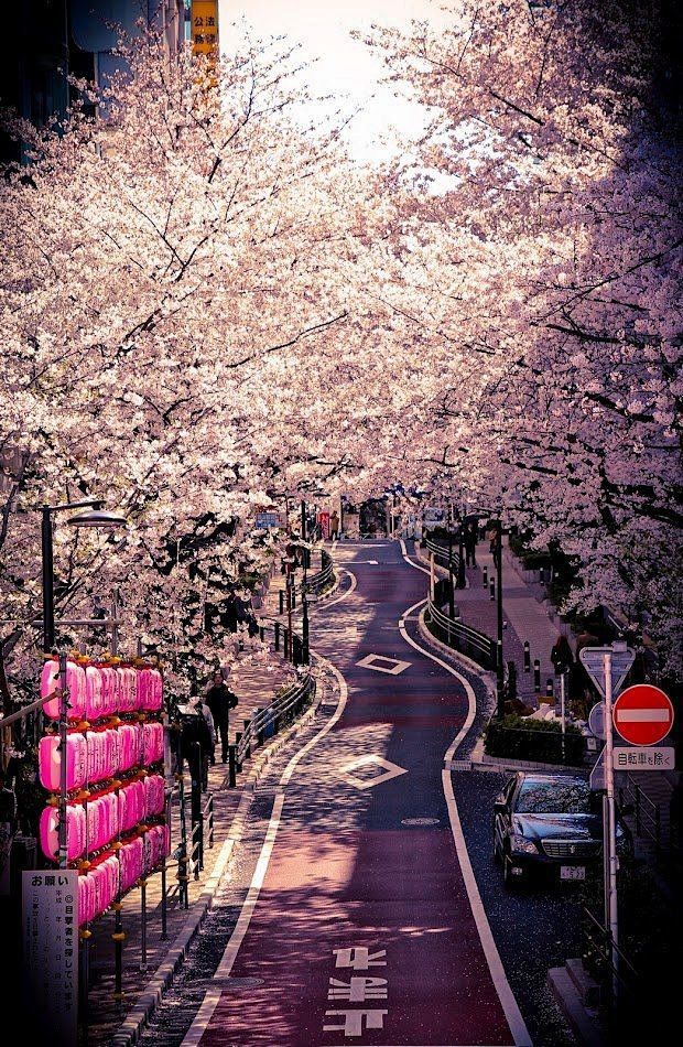 Shibuya, Tokyo, Japa...