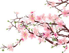 杦玥采集到杦玥●古风【植物】素材