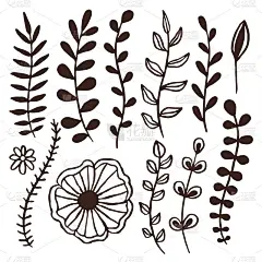 手绘矢量树叶装饰。花卉装饰边框元素。分支剪影矢量设计文具或邀请贺卡。