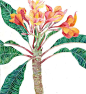 【新西兰画家Gabby Malpas青花瓷花卉水彩作品】
Mango Frooty 是陶瓷专业出身，但一直对水彩画有着浓厚的兴趣，她将自然中的植物花卉都描绘得丝丝入扣，再与富有中国特色的花瓶瓷器相搭配，竟然营造出我们所熟悉的中国味道。