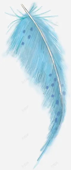 彩绘羽毛 羽毛 贺卡 元素 免抠png 设计图片 免费下载 页面网页 平面电商 创意素材