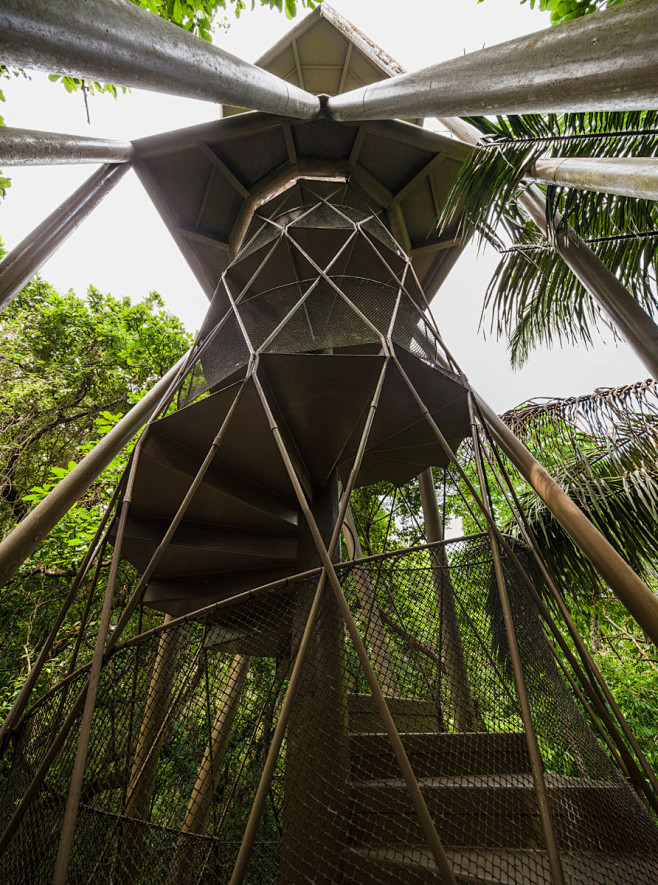 巴拿马雨林探索中心和观测塔 / ENSI...