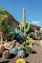 Paradise For Two - Phoenix Home & Garden