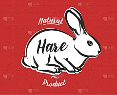 肉,商店,野兔,牛排,菜单,清新,野生动物,食品,哺乳纲