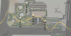 麦子-芒-穗采集到分析图