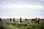 photo-1416592525293-e65266465eb7 (2507×1674)
